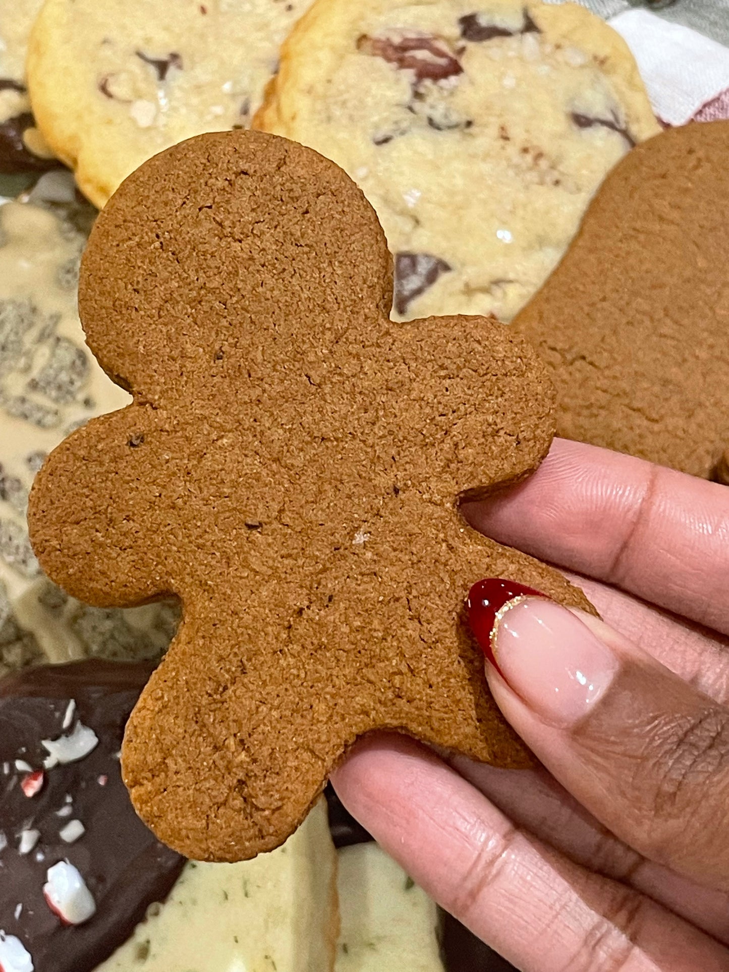 Spiced Spelt Gingerbread