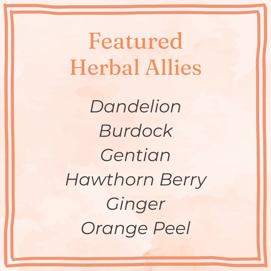 Faery Gutsy | Tincture for Digestive Support & Vitality